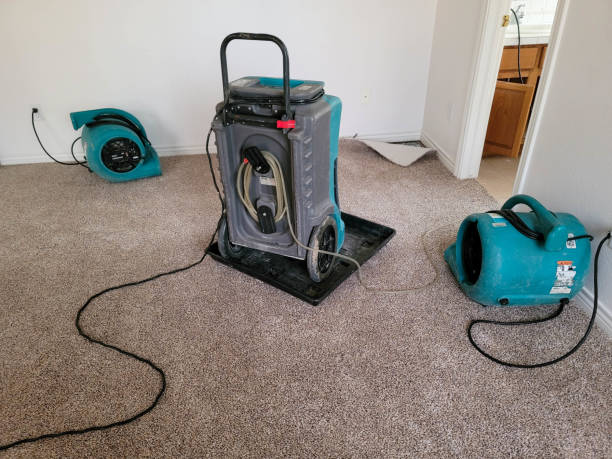 Best Basement water damage restoration  in Chesterbrook, PA