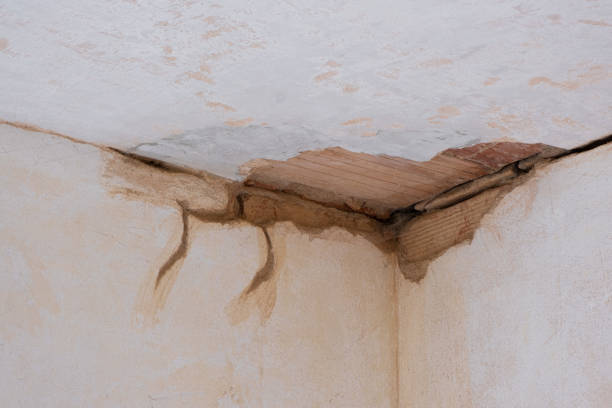 Best Water damage cleanup near me  in Chesterbrook, PA
