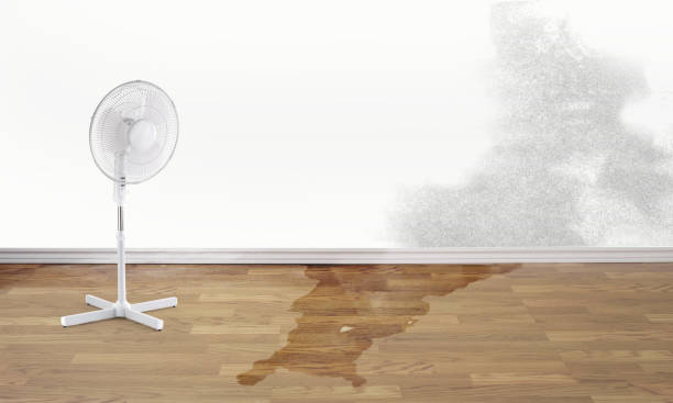 Best Professional water damage repair  in Chesterbrook, PA