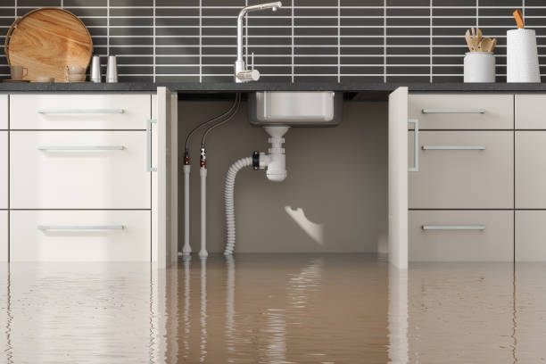Best Mold removal after water damage  in Chesterbrook, PA