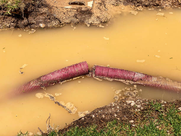 Best Water damage restoration near me  in Chesterbrook, PA